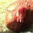 bantams321