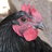 chickcharmer