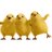 bentonchicks