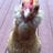 MooreChickens