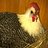 MyChickSheila