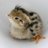 bobwhitecute