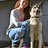 AKanimalLover