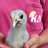 KDchicks