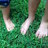 BeachyFarmChx