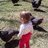 CatonFamilyFarm