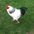 richard240997