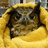 TheFluffyOwl7