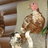 J and B poultry