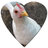 violetchickens