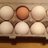 The Wooden Egg