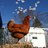 flockwithnocock