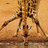 giraffechick