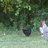 Odumchickenfarm