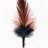 1Ruffledfeather
