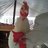 chickenluv4