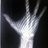 9FingerDoc