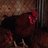 duckman4048