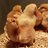 Roesel Chickens
