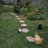 11HappyHens