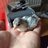 WildernessFowl