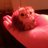 littlelily