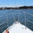 Sail3131