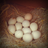 ChickChik