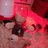 Pamperedpullets