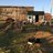 GratefulDayFarm