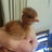 Madam Cluck
