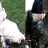 myfowlmobs