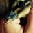 ducky333
