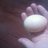 Eggstaticnewbie