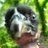 Hippy_Joe