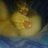 LittleVincey
