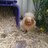 Babiesbabies