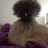 silkiefrizzle