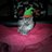 chickaboom5