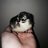 MyChildNChicks