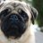 pugtater