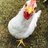 luckygfarm
