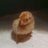 rollplainpoultr