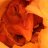 loulou6979