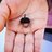 LittleAcorn