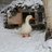 GimpyDuck
