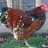 VCChick