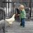 RoostRootFarm