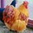 chickenland1