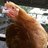 WhatTheCluck30
